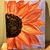 Beckie Neumeyer's profile image
