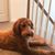 David Sherwood Bettis's profile image
