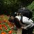 Natalia Arroyave M's profile image