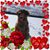 Lorrie Simmons's profile image