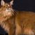 Jane Jenkins's profile image