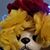 Kellie Cuellar Garcia's profile image