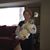 Christy Collins Gray's profile image