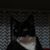 Tammy Rosio's profile image