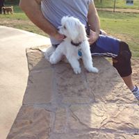 Sara Adams's profile image