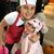 Renata Perrizo's profile image