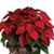 Midge Gleason Vanbuskirk's profile image