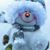 Debbie Knox-Knobloch's profile image