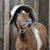 Sara Haygood's profile image
