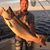 Stephen Boren's profile image