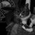 Andrea Elaine Gibbs's profile image