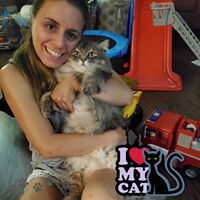 Olivia Figueiredo's profile image