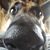Rebecca Giglione's profile image