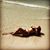 Daniela V Faria's profile image