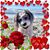Dana Gammon's profile image