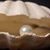 Noor e Subh's profile image