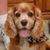 Debbie Busch's profile image