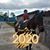 Baldemar Cisneros's profile image