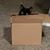 Tina Stansberry's profile image