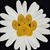 Sandi Pipock's profile image