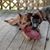 Harriet Dinsmore's profile image