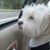 Gene Gabelli's profile image