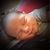 Ana Rodriguez-Pollard's profile image