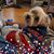 Jamie Kemmerer's profile image