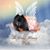 Sheila Honeycutt-Schneider's profile image
