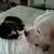 Jeff Ruehle's profile image
