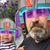 Matt Wayman's profile image