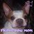 Jami Elam's profile image