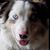 Amy Keller Miller's profile image