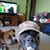 Darrell Beckner's profile image