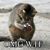 Linda Byrne Vento's profile image