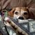 Michelle Mordan's profile image