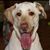 Cindy Jones's profile image