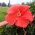 Jane Skalitzky's profile image