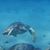 Chris Huff's profile image