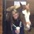 Lynn Colachino's profile image