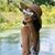Nicole Dennis's profile image