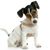 Janet Marshall Morris Fulford's profile image