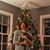 Sharon DeWitte's profile image