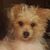 Donna Luffman's profile image