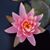 Leigh Ann Flickinger's profile image