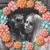 Sherry Owens's profile image