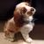 Daphne Hu's profile image