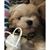 Brook Ross Cannady's profile image