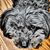 Susan Macy Jarvinen's profile image