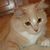 Nicole Jorgenson-Untener's profile image